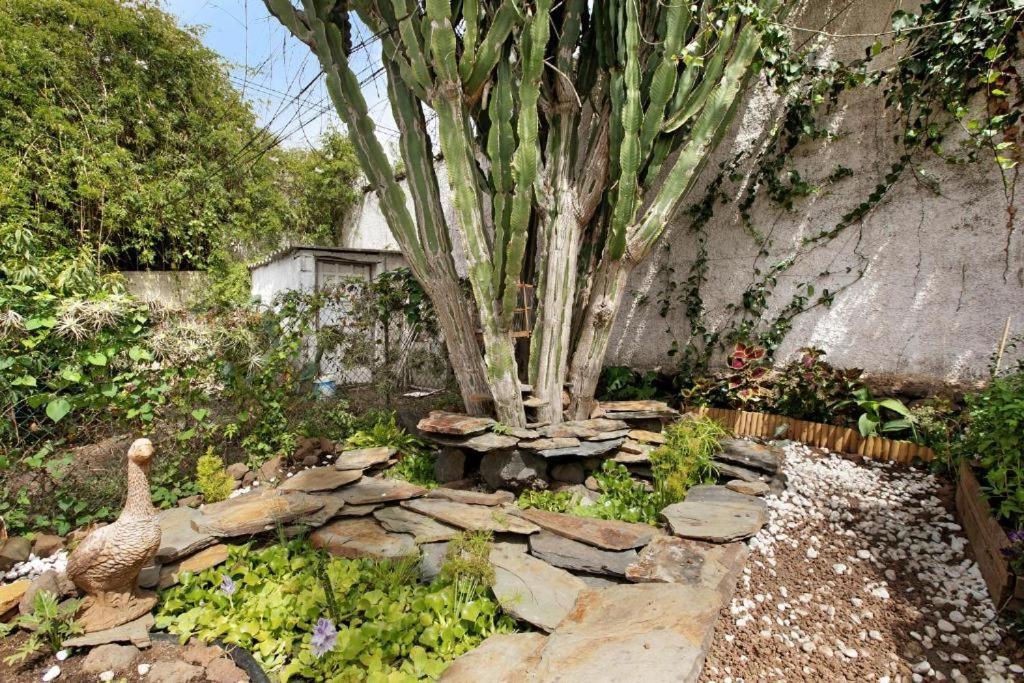 Villa Casa Con Jardin à Tacoronte Extérieur photo